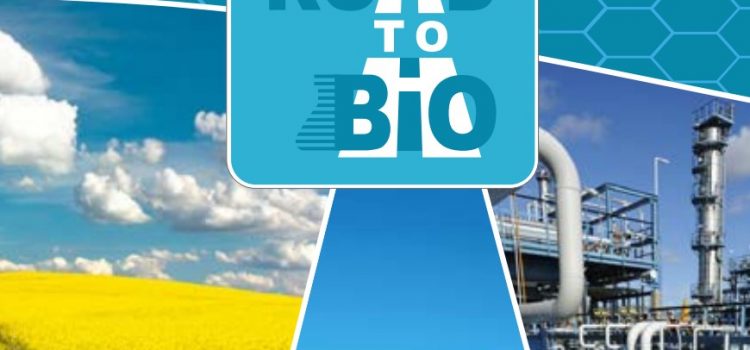 Roadmap for bio-based chemical industry