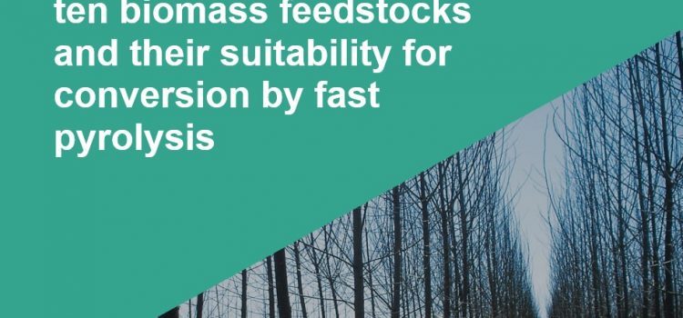 Study: top feedstocks for pyrolysis biorefinery